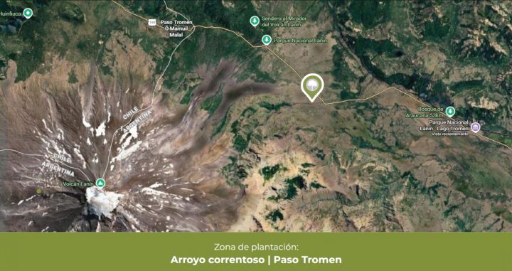 Mapa de la zona de plantación