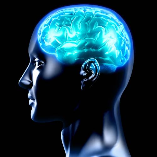 smart nutrients - nutrientes inteligentes