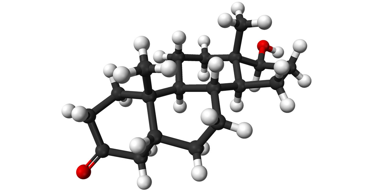 Terapia de Reemplazo Hormonal Hormonas Bioidenticas en Argentina Terapia de Reemplazo Hormonal Hormonas Bioidenticas en Argentina
